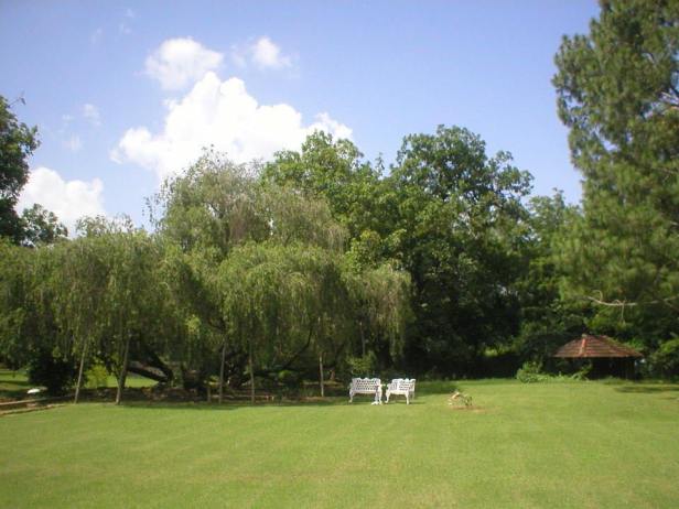 1622765_743067266723_747374875_n