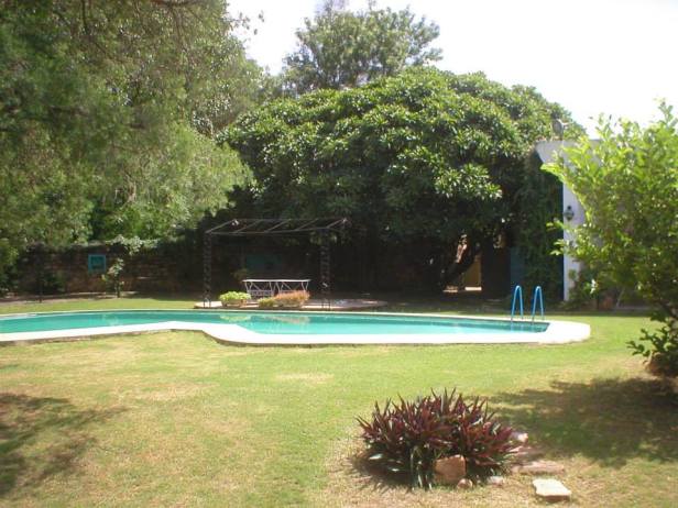 923503_743067136983_1830633872_n