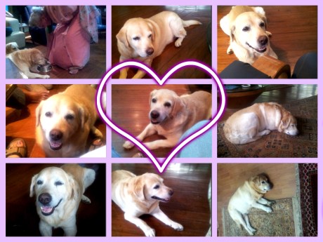 pizap-com14338871387911