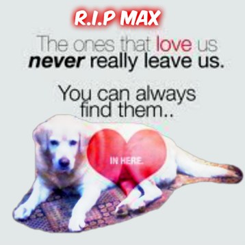 pizap-com14343209341971