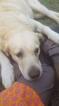 16143309_10154160380501437_3186329488689489674_n